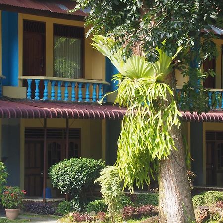 Wisma Leuser Sibayak 부킷 라왕 외부 사진
